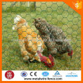 hexagonal iron wire mesh